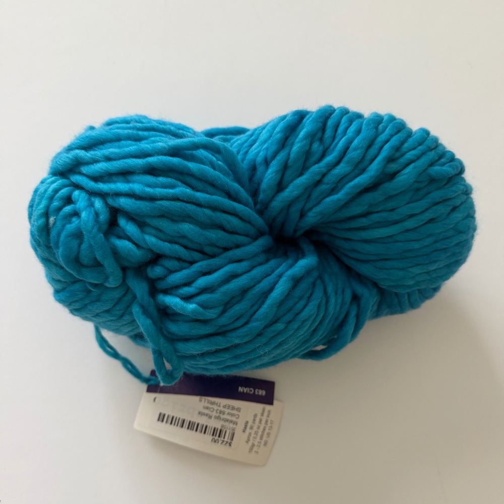 RASTA Super Bulky Malabrigo Yarn Kettle Dyed Merino Soft 683 Cian